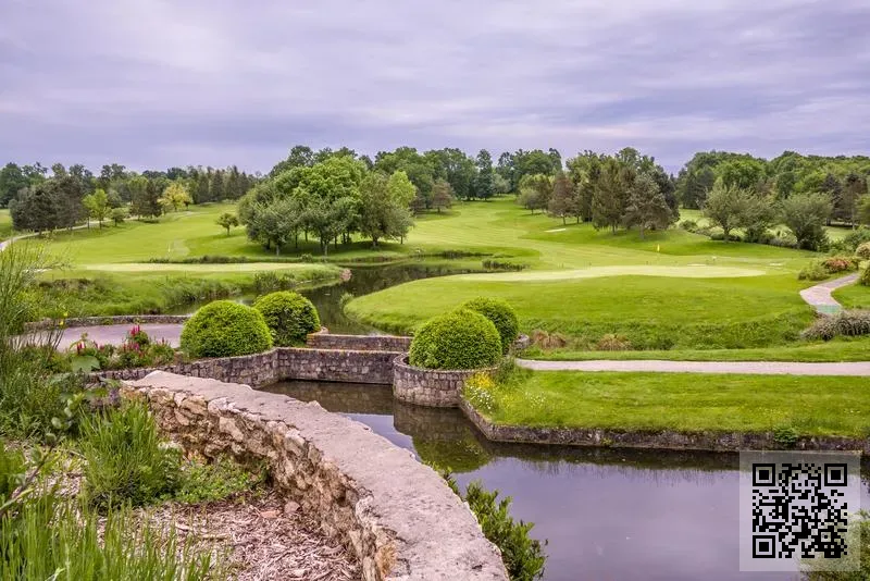 香港彩婷集團股份有限公司