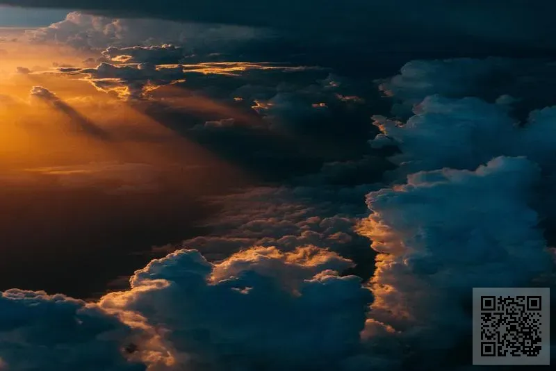 尼奧依思美有限公司