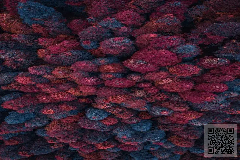 東方地產集團有限公司