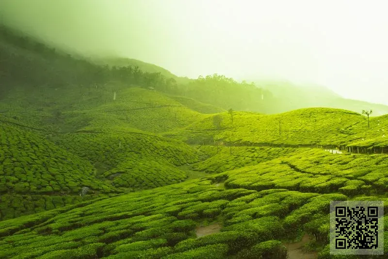度銘科技有限公司