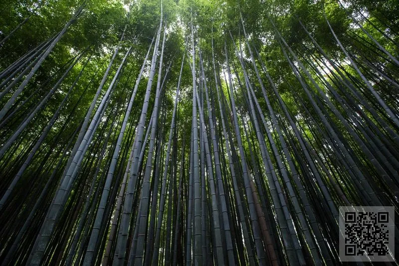 希烽光電科技(亞洲)有限公司