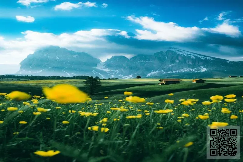 Quixote (Hong Kong) Limited