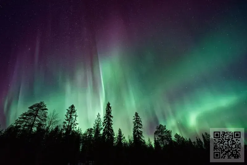 馬賽洛投資(香港)股份有限公司