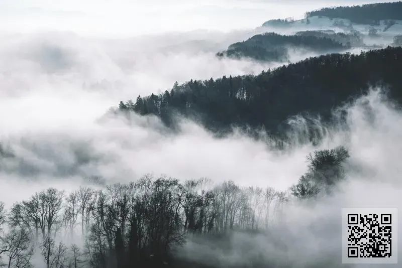 佳來實業有限公司