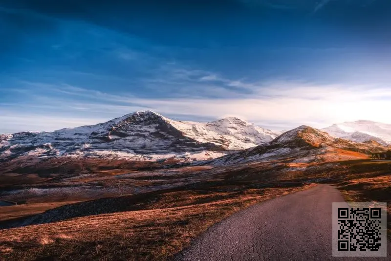 朋洋諮詢有限公司