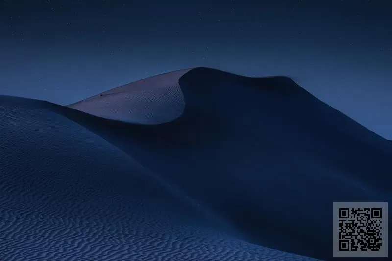 萊德斯集團有限公司