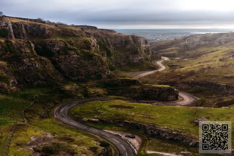 科爾斯卡集團國際有限公司