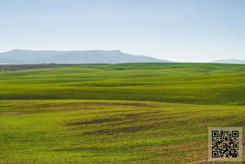 香港鼎豐資本股份有限公司