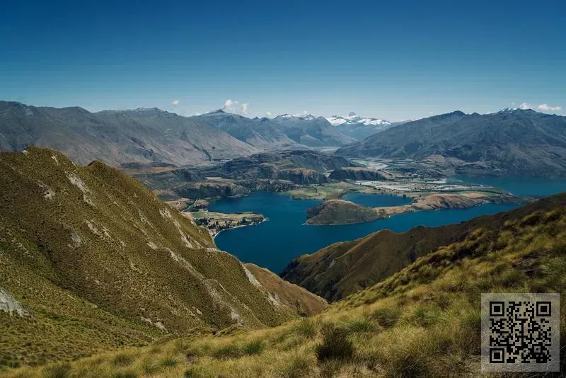 香港麥特爾國際集團有限公司