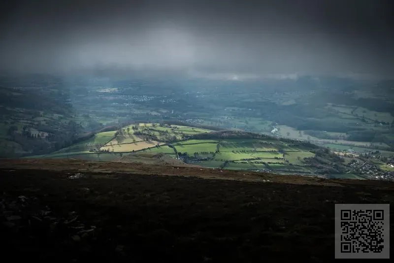 金億科技(香港)有限公司