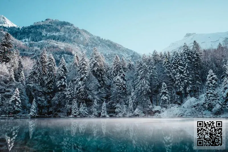 意大利諾克斯汀(國際)服飾有限公司