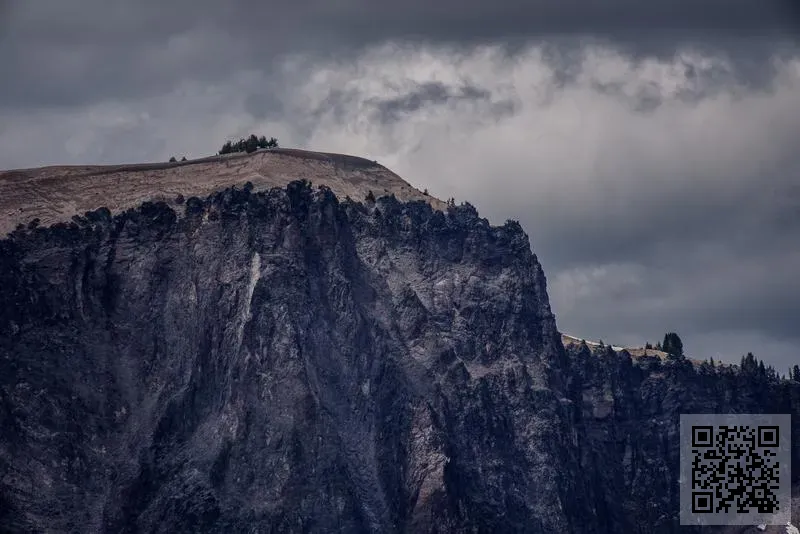 海博威視(香港)科技有限公司