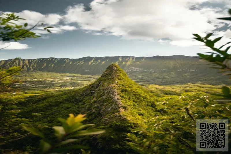 港貿控股有限公司