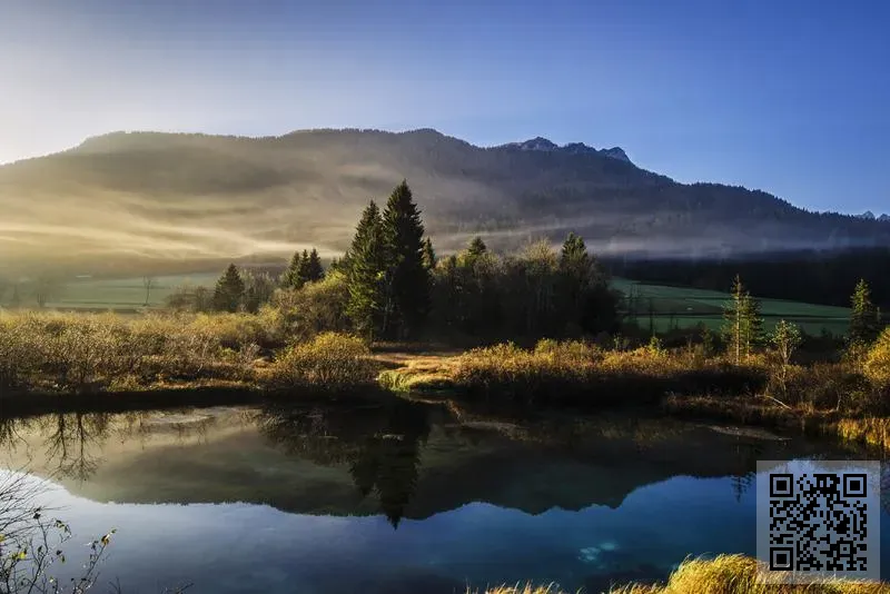 佳德信國際有限公司