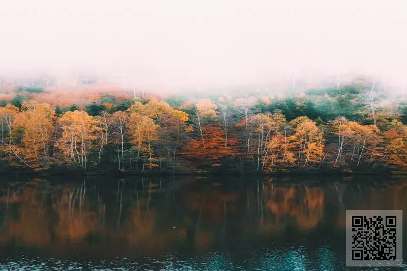 香港泓泰投資有限公司