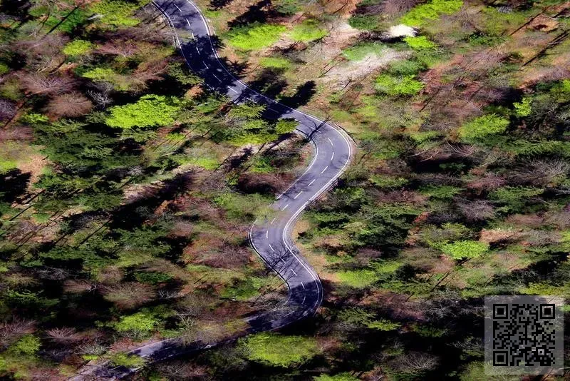 寶亞耀迪國際有限公司