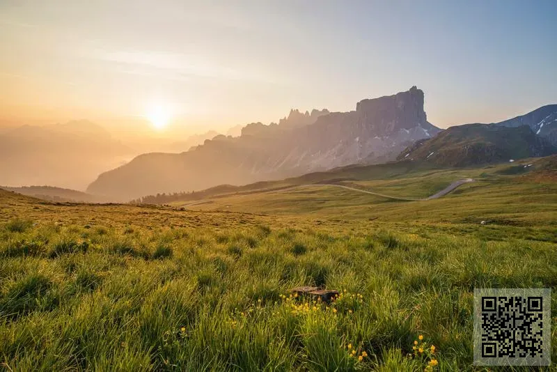 卓庭信息集團有限公司