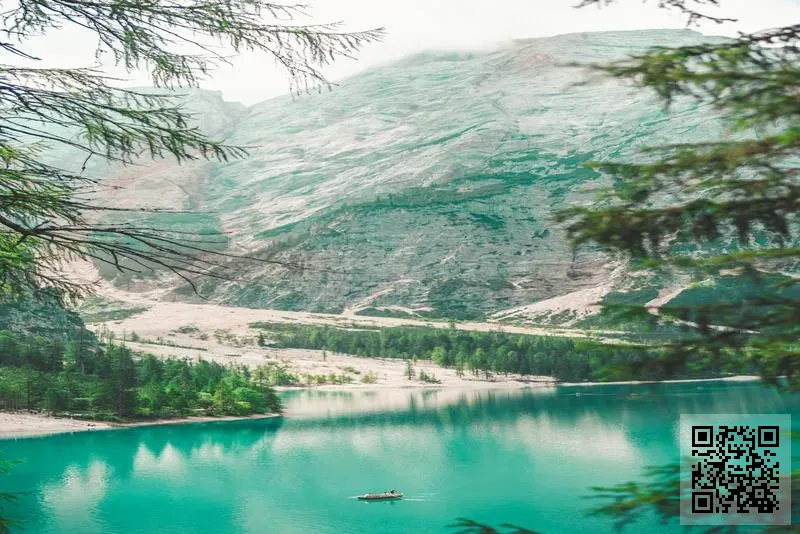 萬財集團有限公司