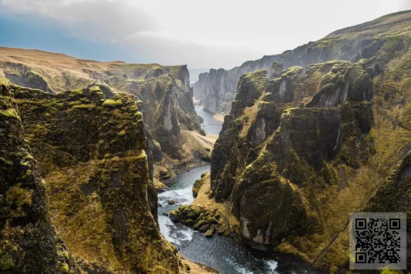 Coordination International Limited