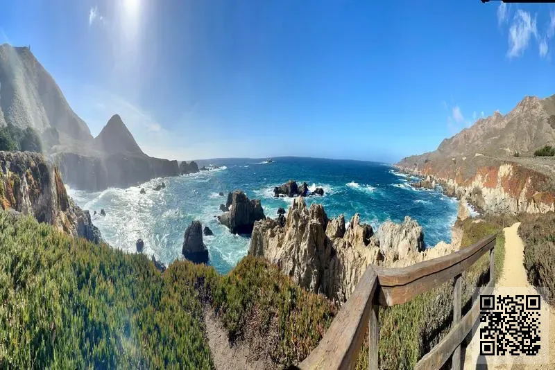 飛馬捷運(香港)有限公司