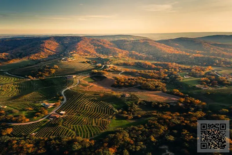香港金煌投資置業有限公司