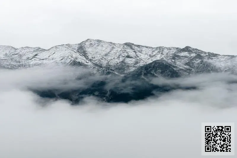 新裕豐食品有限公司