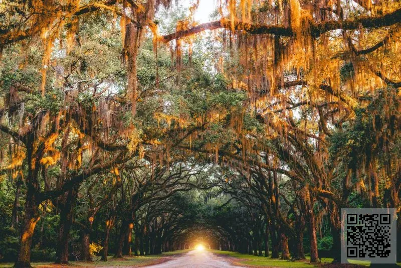 永興達服飾有限公司