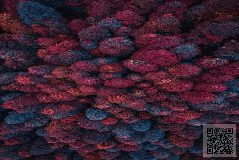 TALBOT MANAGEMENT HK LIMITED