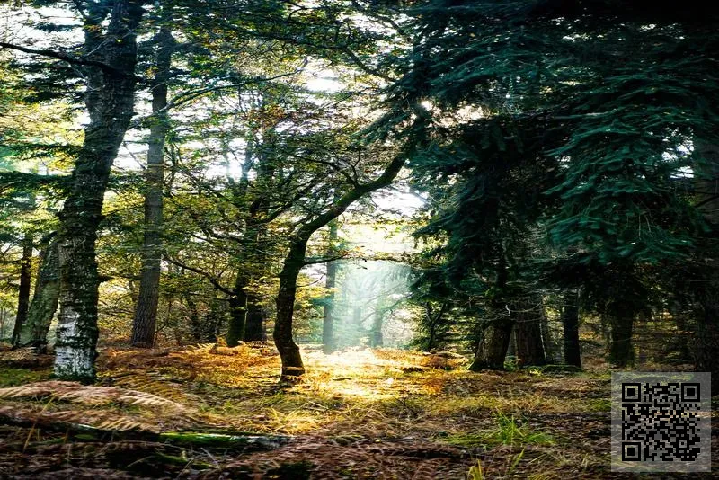 萬寧國際(中國)有限公司