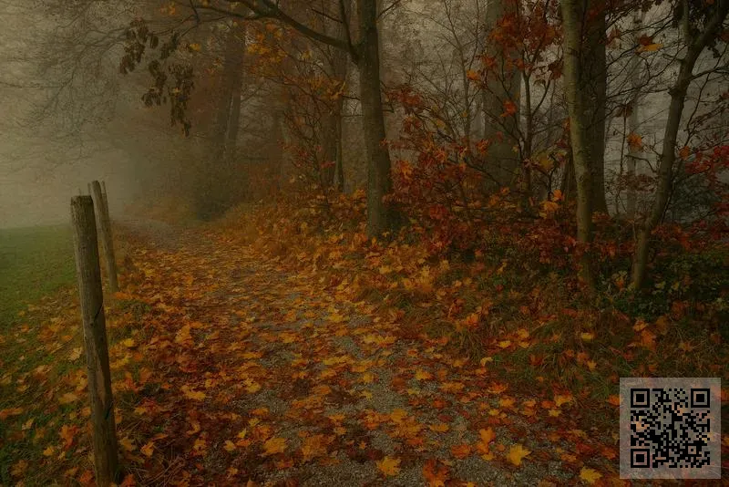 南方通信香港有限公司