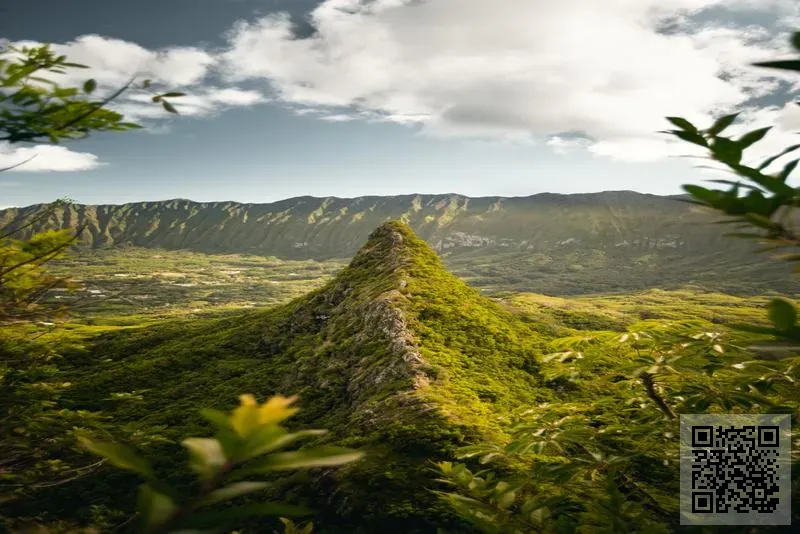 樂好家居用品有限公司