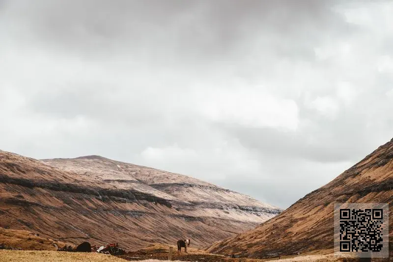 THIEN NHIEN TRADING & SERVICE CO., LIMITED