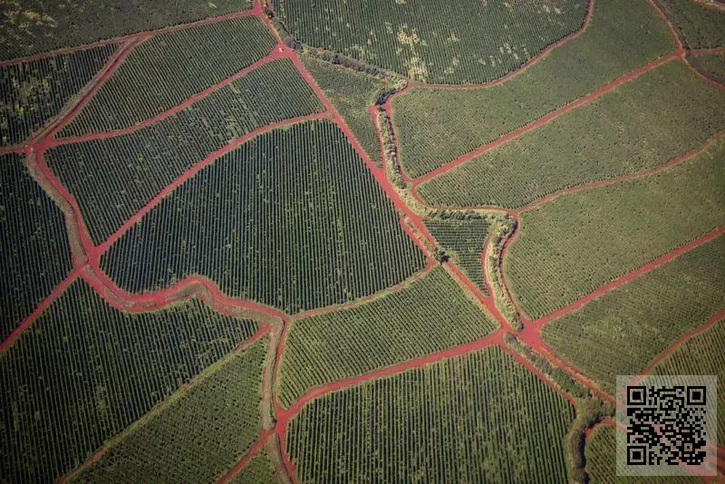 禮明實業有限公司