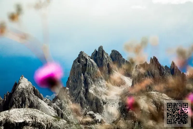 深圳市歐博迪通信有限公司