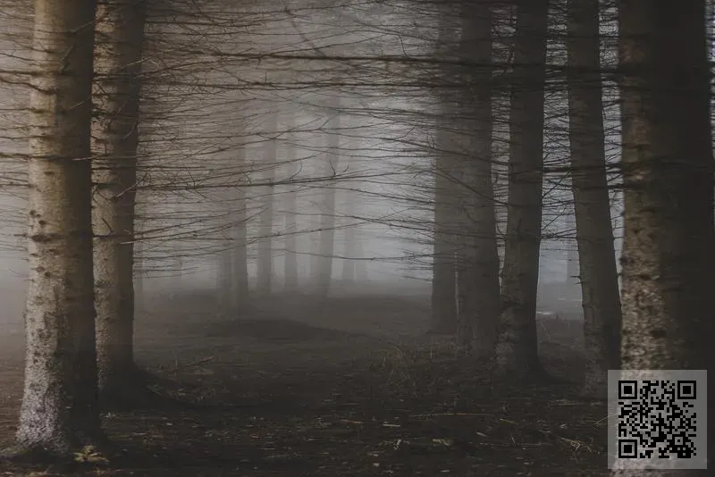 宇倉洋行有限公司