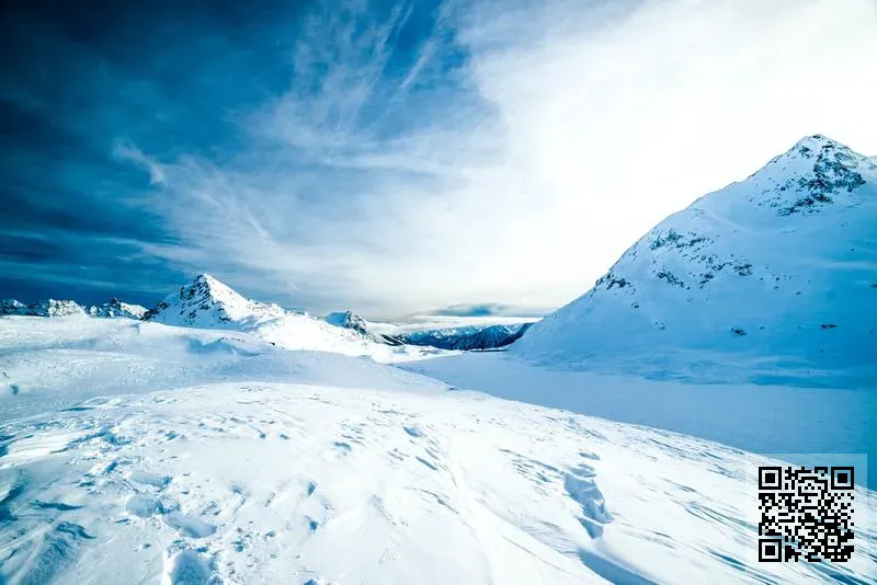 香港大叔有限公司