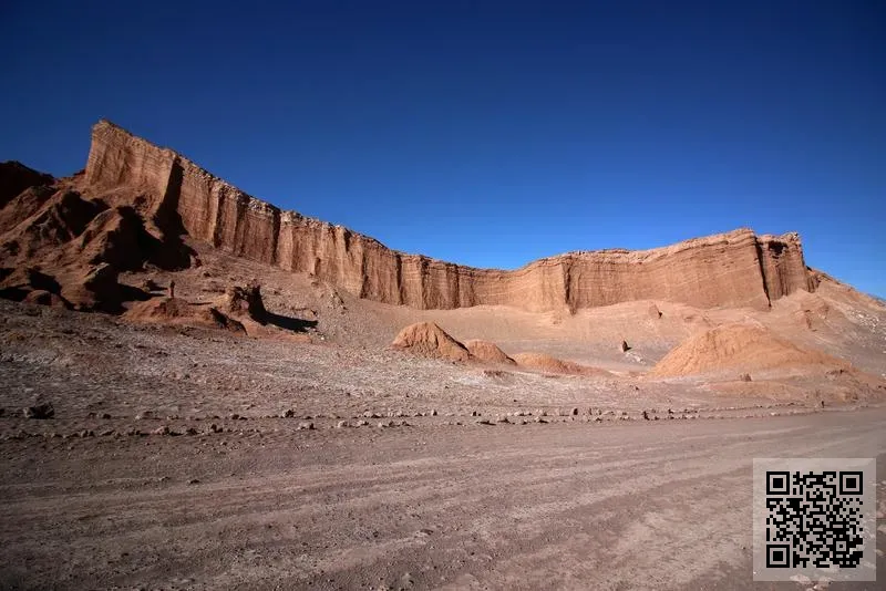 雲科技有限公司