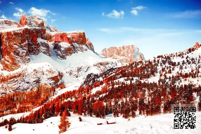 尚霖樂器(香港)有限公司