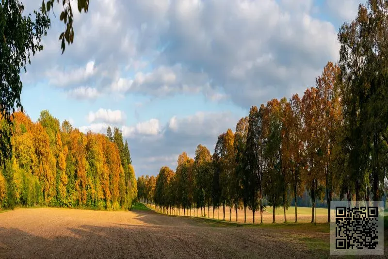 中國富百禾文化傳媒有限公司