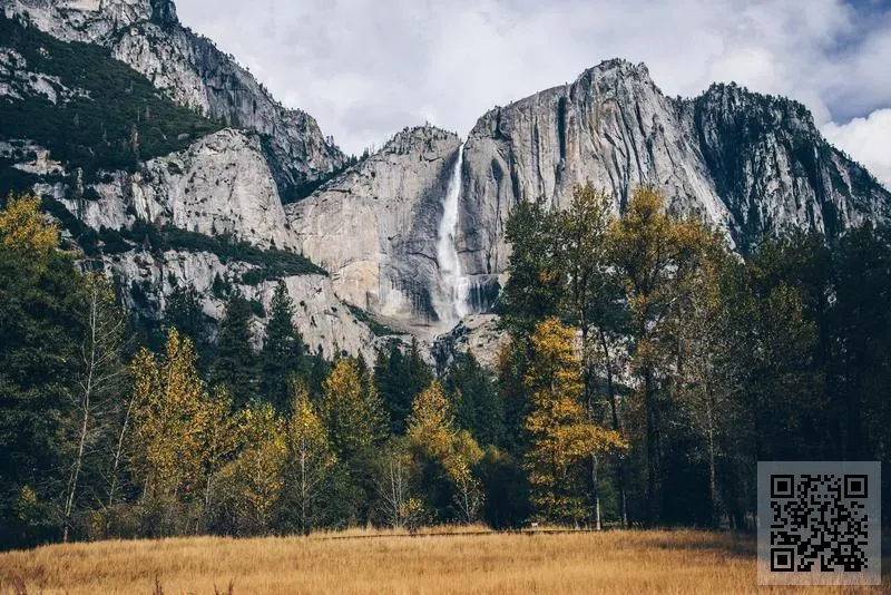 Air Charter Systems Limited