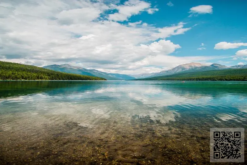 寧波淘愛進出口有限公司