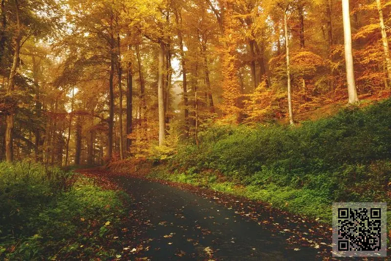 城隍廟1371經營管理有限公司