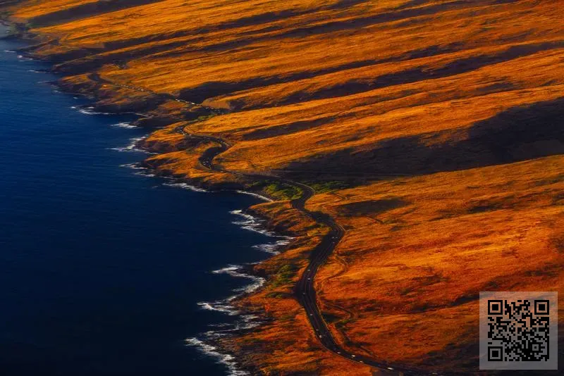 深藍海文化有限公司