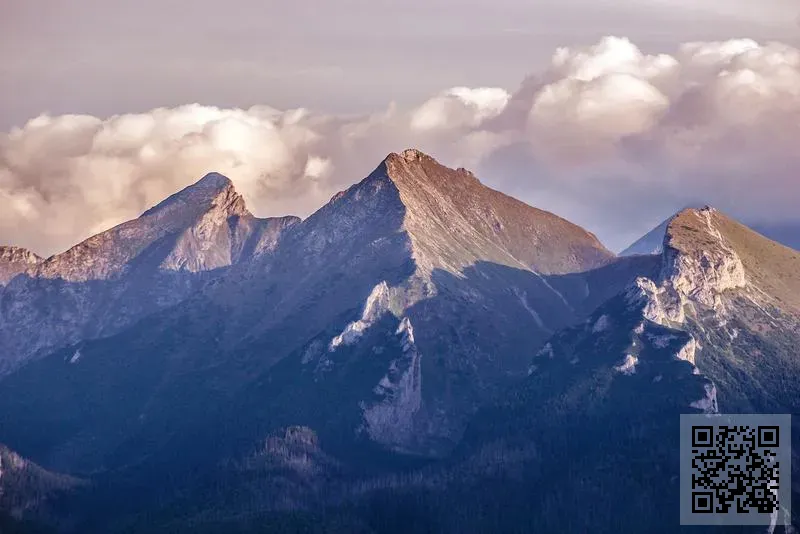 江南太平洋生物科技有限公司