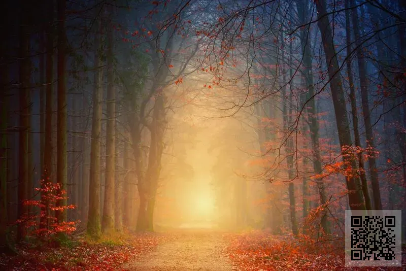 香港國際時輪金剛中心有限公司