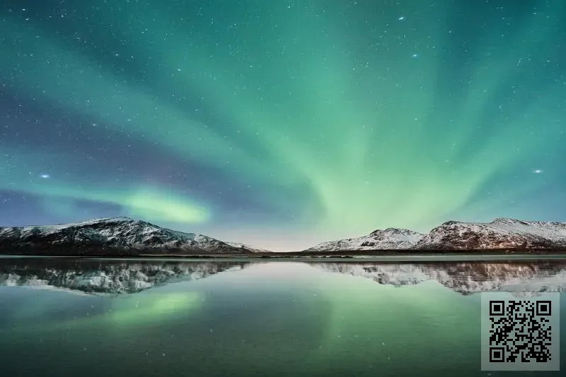 DEPTH OF FIELD LIMITED