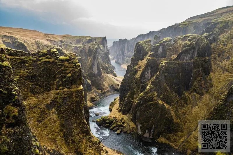 中國再生資源集團發展有限公司
