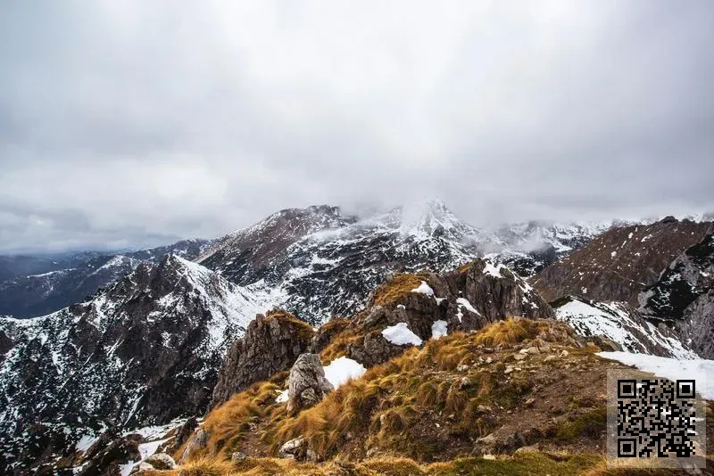 瑪珂山國際有限公司