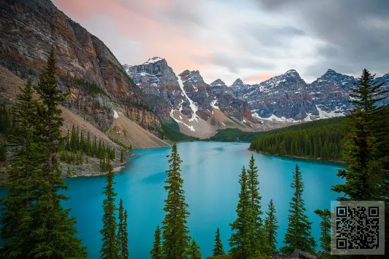 福淇貿易(香港)有限公司