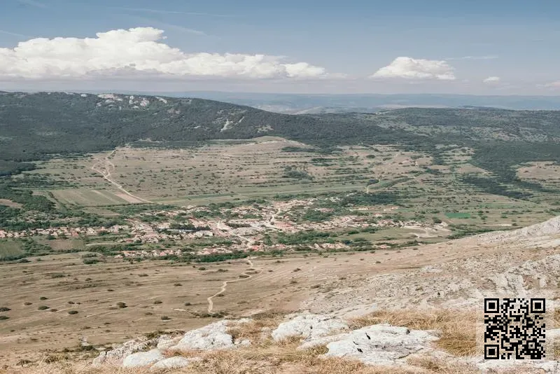 毅澤行有限公司